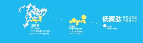 海洋鱼骨胶原低聚肽粉功效怎么吃 2026年海洋鱼骨胶原蛋白低聚肽粉