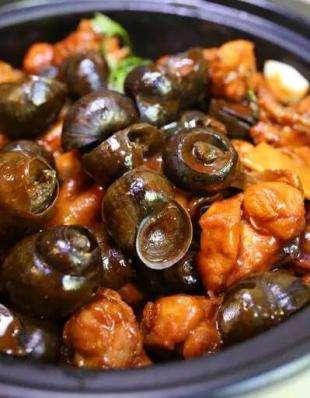 节瓜花胶瘦肉汤圆 2026年花胶瘦肉汤的做法大全