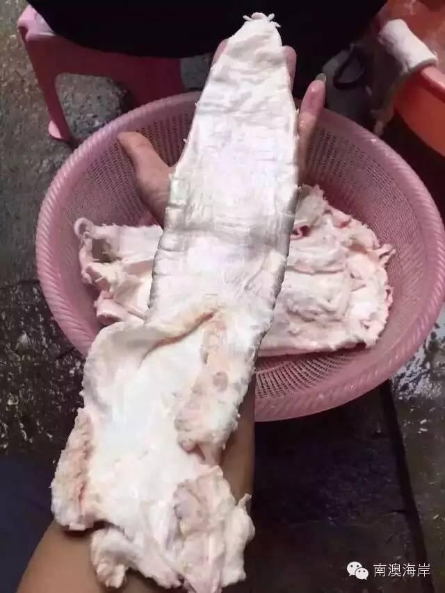 阳江花胶楼 2026年阳江花店哪里有 阳江花胶楼 2026年阳江花店哪里有
