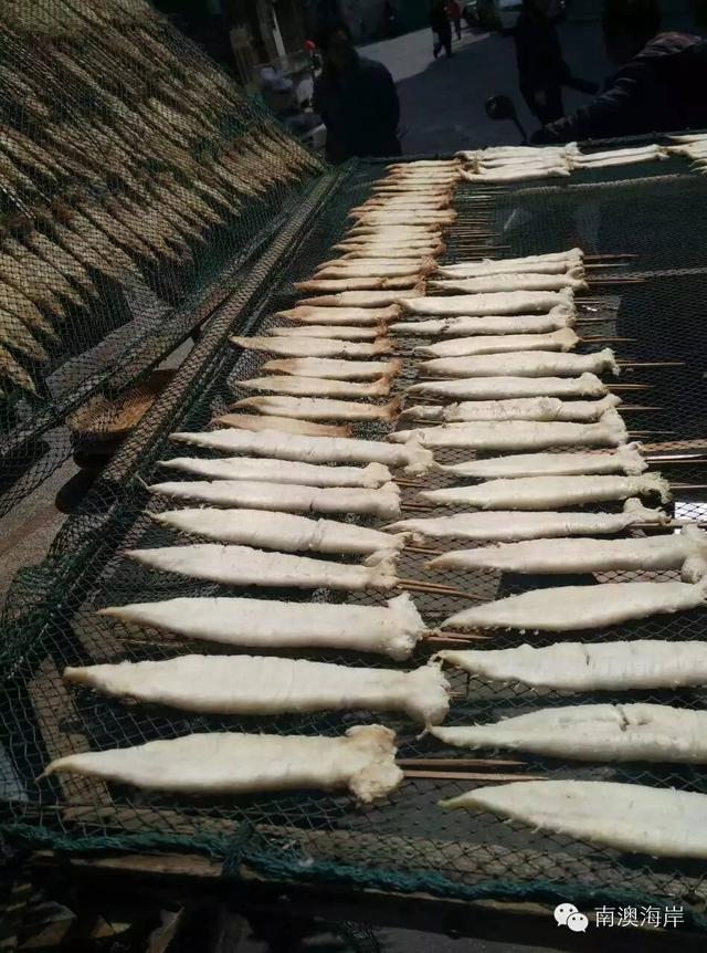 阳江花胶楼 2026年阳江花店哪里有 阳江花胶楼 2026年阳江花店哪里有