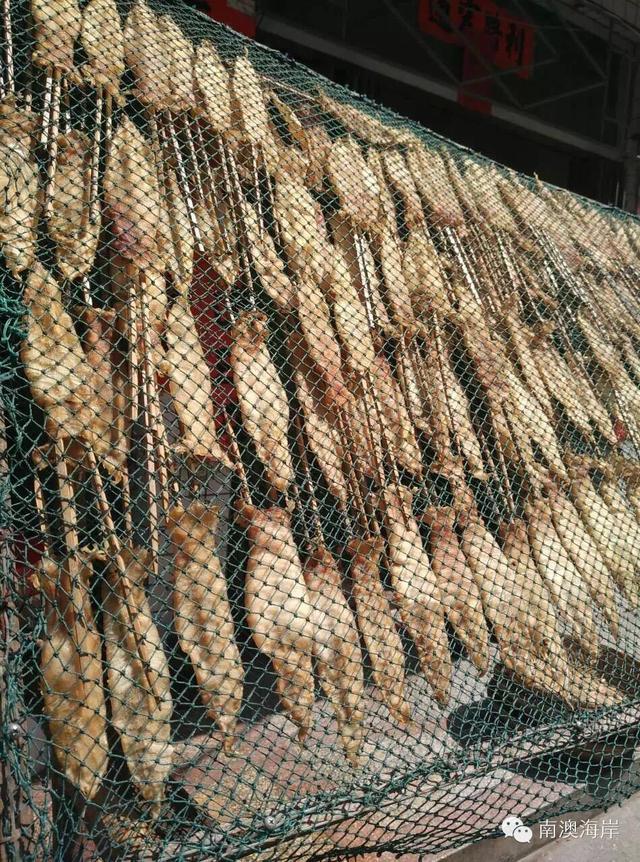 阳江花胶楼 2026年阳江花店哪里有 阳江花胶楼 2026年阳江花店哪里有