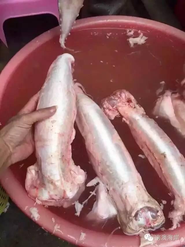 阳江花胶楼 2026年阳江花店哪里有