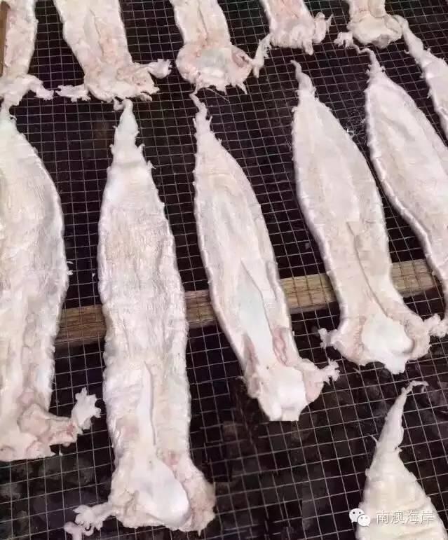 阳江花胶楼 2026年阳江花店哪里有 阳江花胶楼 2026年阳江花店哪里有