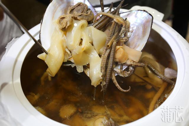 花胶炖海马瑶柱 2026年花胶炖海马瑶柱汤的做法 花胶炖海马瑶柱 2026年花胶炖海马瑶柱汤的做法