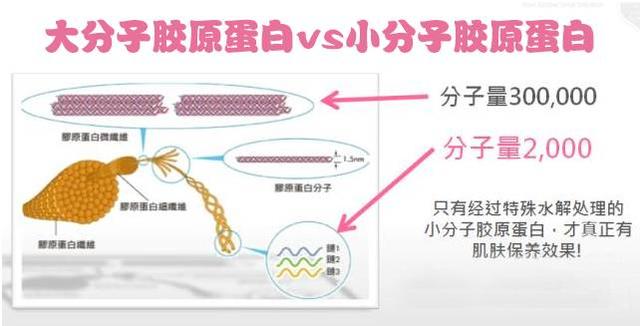 胶原蛋白如何补充效果最好 2026年胶原蛋白如何补充效果最好呢