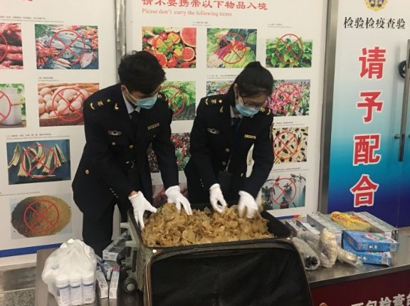 散装花胶卖多少钱 2026年花胶一般卖多少钱