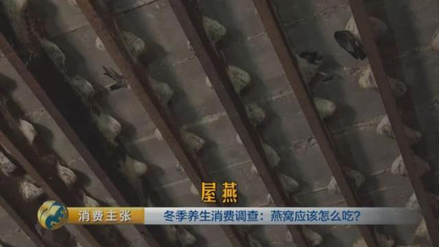 燕窝种类和图片大全 2026年燕窝种类和图片大全及价格