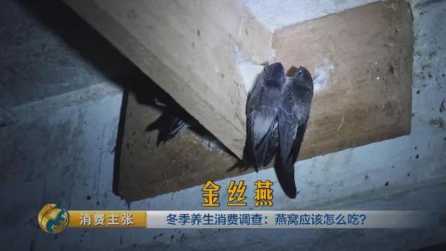 燕窝种类和图片大全 2026年燕窝种类和图片大全及价格