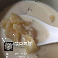 冰糖炖花胶做法 2026年冰糖炖花胶做法视频 冰糖炖花胶做法 2026年冰糖炖花胶做法视频