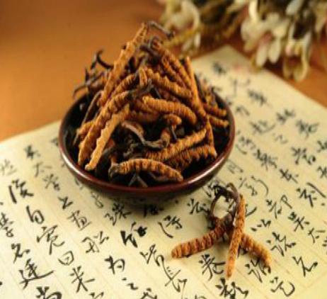 产妇可以吃冬虫夏草吗 2026年产妇可以吃冬虫夏草吗?对宝宝有影响吗