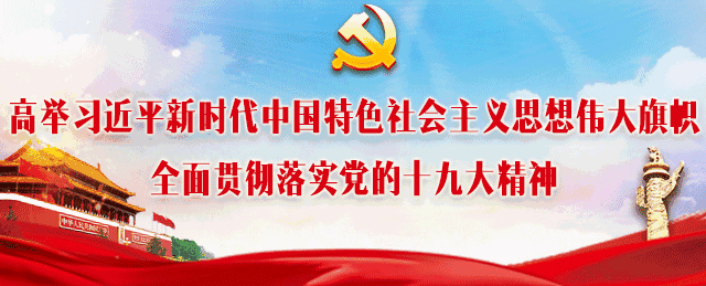 花胶同鸡蛋哪种好营销 2026年花胶和鸡蛋能起煲吗