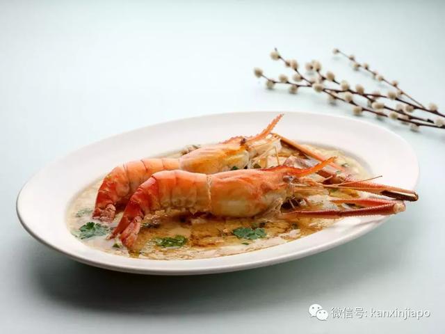 花胶焖海参 2026年花胶焖海参鲍鱼 花胶焖海参 2026年花胶焖海参鲍鱼