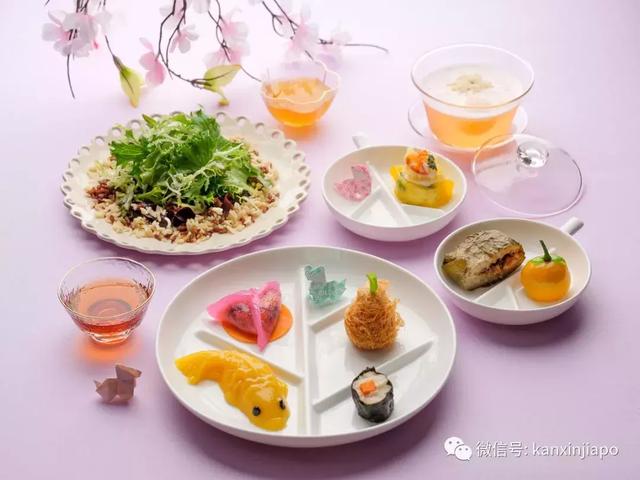 花胶焖海参 2026年花胶焖海参鲍鱼 花胶焖海参 2026年花胶焖海参鲍鱼