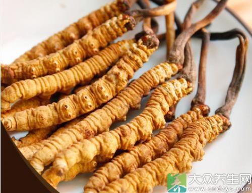 虫草月经期间可以吃吗 2026年虫草月经期间能吃吗