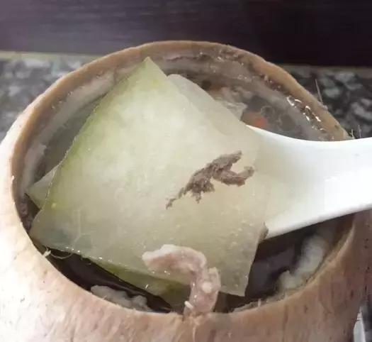 虫草花灵芝花胶鸡脚汤 2026年花胶虫草花鸡汤的功效与作用