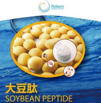 大豆低聚肽的作用功效 2026年大豆低聚肽的作用功效是什么