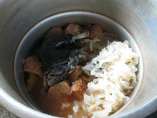 乌鸡能和猴头菇花胶一起煲汤吗 2026年猴头菇炖花胶乌鸡汤的做法