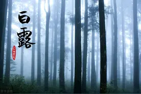 与二十四节气同行之七——白露图片