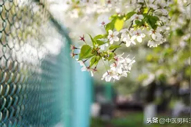 男性该如何科学地养肾 ?图片