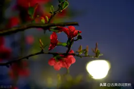 李商隐失意时写下一首诗，苏轼失意时也照着写了一首，都成了经典图片