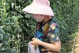 邓亚萍活得洒脱接地气！下地摘菜打扮像“大妈”，塑料大盆拌肉馅图片