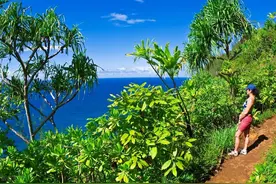 度假天堂夏威夷，8月起向游客开放，一起吹着海风体验清凉吧图片