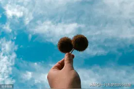 永远不要向生活妥协，生活不会因你弱小就同情你图片