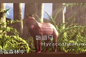 马的祖先看起来竟像一只狐狸？没有人类驯养，它们可能早就灭绝了图片