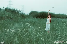 【夜听三生】愿时光能缓，许故人不散图片