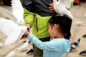 沈阳方特、鞍山千山自由行图片
