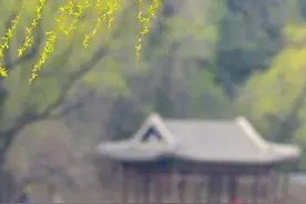 草色青青柳色黄·桃花历乱李花香图片