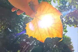 读研究生后才懂：除了好听的学历和学生身份的护身符，你一无所有图片