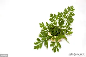 《菜根谭》告诉我们：平平淡淡才是真图片