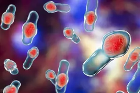 生存法则：细菌战进化了我们的免疫系统！细菌还是功臣？图片