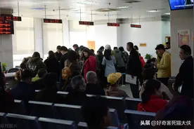 延迟退休“板上钉钉”，社保依然人满为患，退保的人多吗？图片