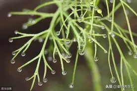 湿气停聚在体内，不同部位会有不同的表现，看看你中招了没有？图片