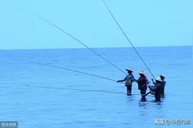 竞技钓鱼时硬调杆，综合杆，并继杆三种钓竿的优势及实际的应用图片