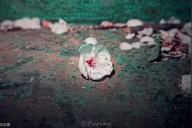 好像什么都来得及，又好像一切遥不可及图片
