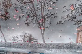 ⼀⽇⼀诗|《江城⼦》苏轼图片