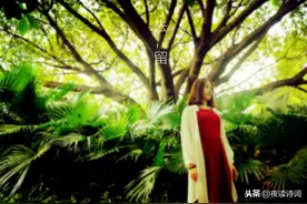 「夜听美文」人生的感想图片