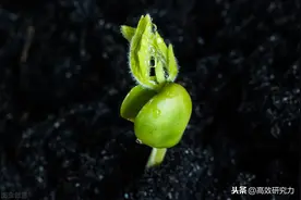 三步写作法，助你文思泉涌、灵感爆发，极速成为行业专家图片