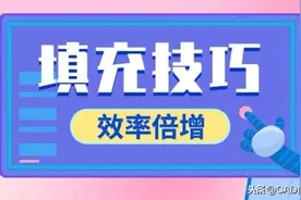 太快了吧！原来大神是这样用CAD图案填充的图片