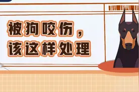 关于狂犬病的这些真相，你或许还未了解……图片