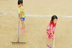 散文：晒谷的乡愁图片