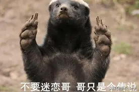 看我非洲“平头哥”（蜜獾），人狠话不多图片