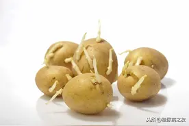 这15种食物可能有毒，糖尿病患者不要吃图片