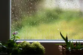 躲了一辈子的雨，雨会不会很难过图片