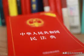 刑法应主动去适应民法典--专访北京大学博雅讲席教授陈兴良图片