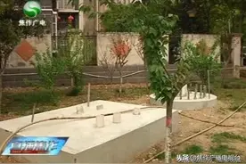 焦作这个小区旁建基站，有没有辐射？到底是否安全？看记者探个究竟……图片