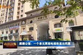 麒麟公馆：一个单元两部电梯轮流出问题图片